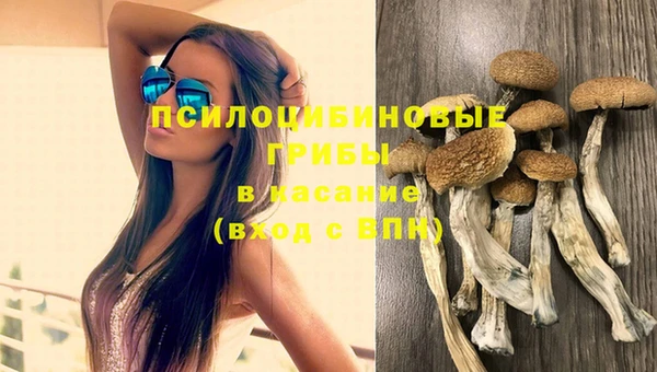 MESCALINE Аркадак