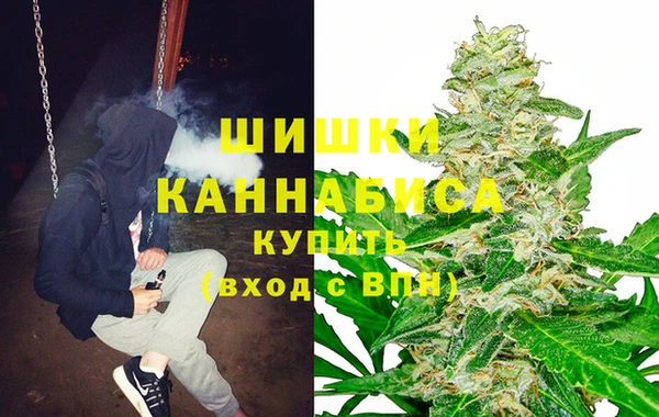 MESCALINE Аркадак