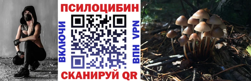где можно купить наркотик  Камень-на-Оби  Псилоцибиновые грибы Cubensis 